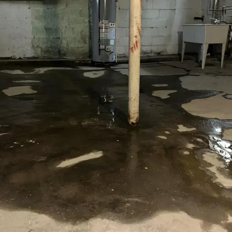 Emergency Water Extraction And Removal in Weston Mills, NY